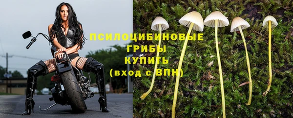 экстази Дмитров
