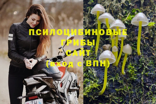 экстази Дмитров