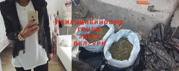 прущий лед Тында