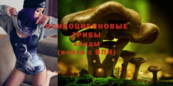 круглые Дмитриев